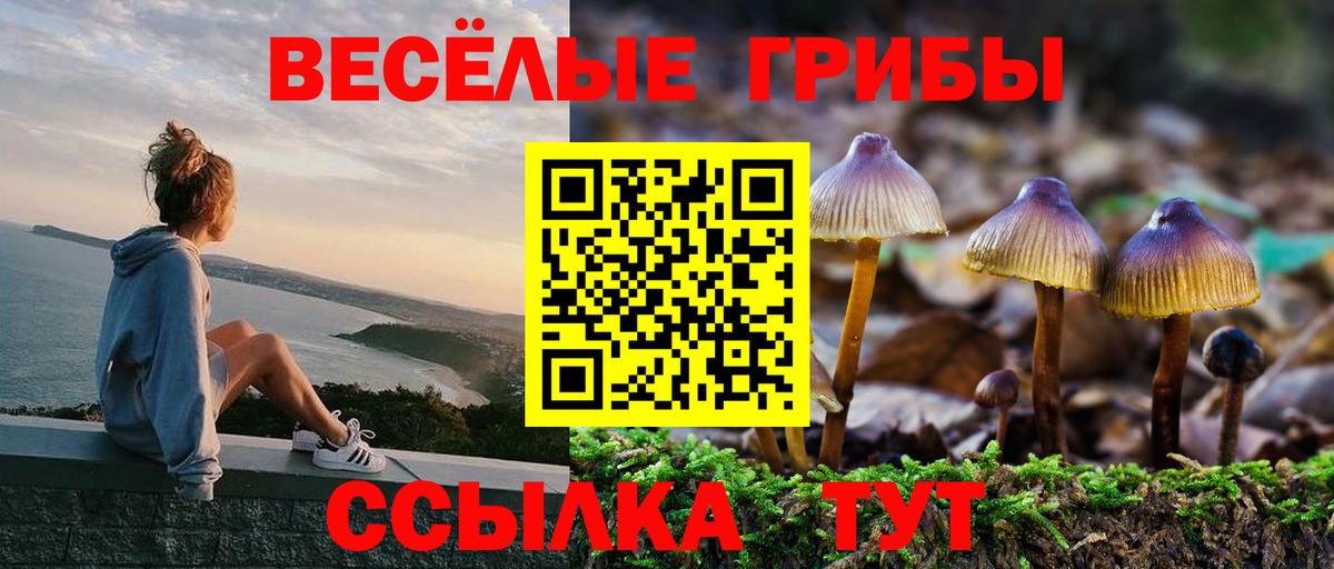 Псилоцибиновые грибы Psilocybine cubensis Энгельс